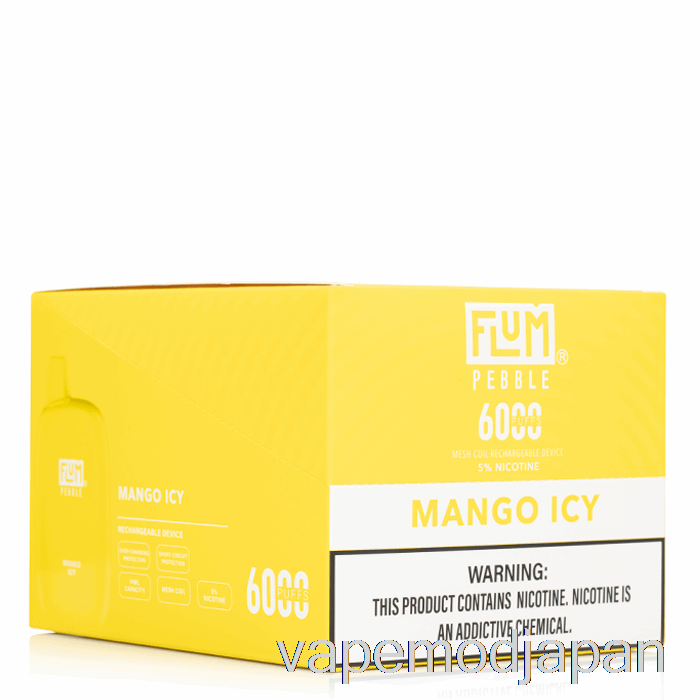 Vape Japan 【10個セット】flum Pebble 6000 使い捨て